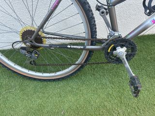 Bicicleta Longway Pine Cross