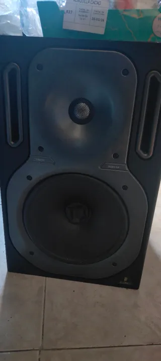 Pareja de altavoces de estudio