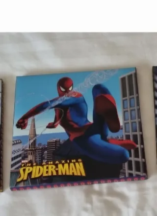 Lote 4 lienzos Spiderman