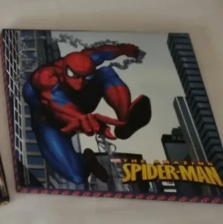 Lote 4 lienzos Spiderman