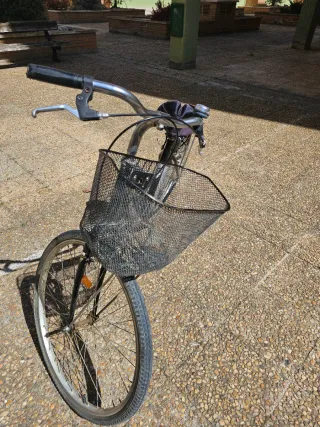 Bicicleta de paseo.