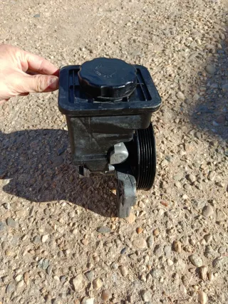 Bomba Dirección Asistida M57D30