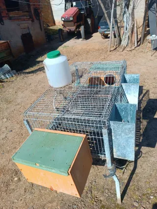 Jaula Conejo Galvanizado Dos jaulas cuatro espacio