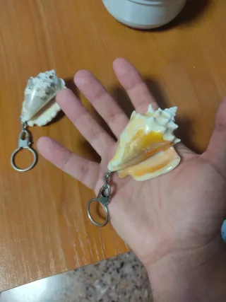 Llaveros de caracolas
