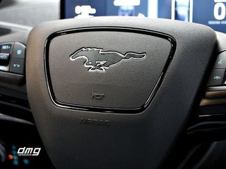 Ford Mustang Mach-E  198kW Batería 75,7kWh 269Cv