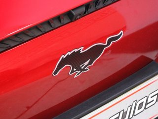 Ford Mustang Mach-E  198kW Batería 75,7kWh 269Cv