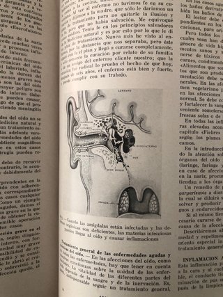 Libro MEDICINA NATURAL.