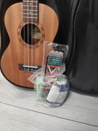 Funda para guitarra HRICANE