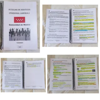 Lote 6 Auxiliar de Servicios 2019-2026/CAM