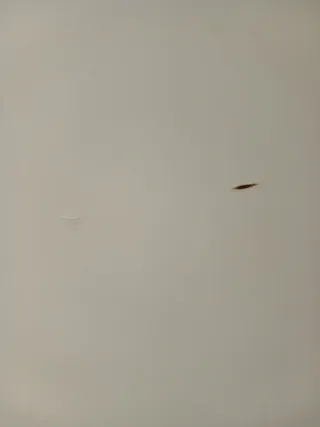 Mesa comedor 165x 104.5