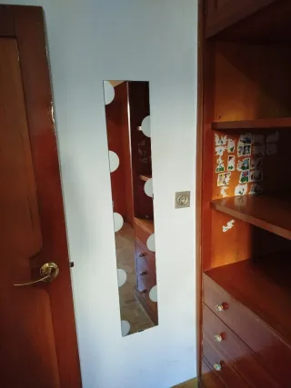 Espejo Pared 20x120 cm