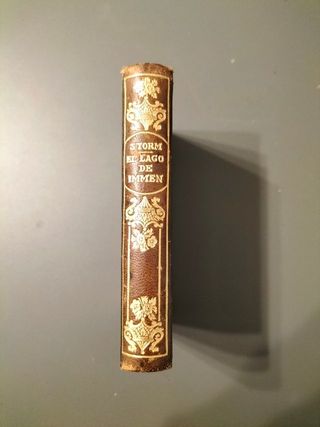 Libro antiguo El lago de Immen Montaner y Simón