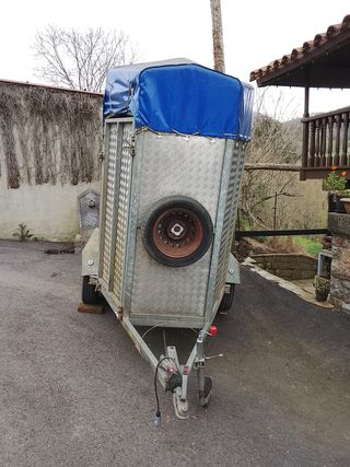 Remolque Ganadero Vans Buen Estado