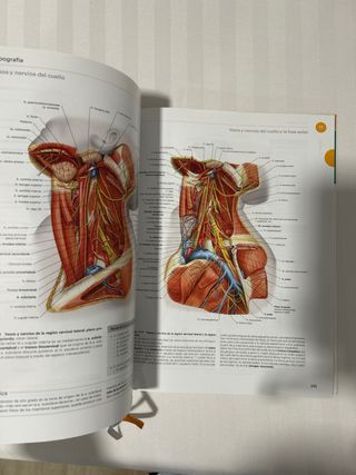 Sobotta. Atlas de anatomía humana vol 3: Cabeza,..