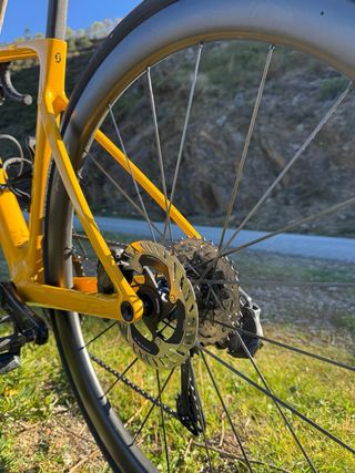 Scott Addict RC 10 2025
