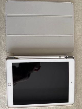 Apple iPad