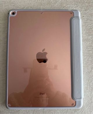 Apple iPad