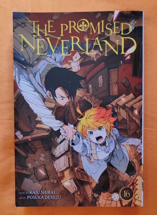 Mini Lote: Dos Tomos Manga
