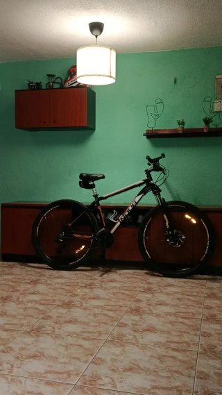 Bicicleta de montaña INDUR