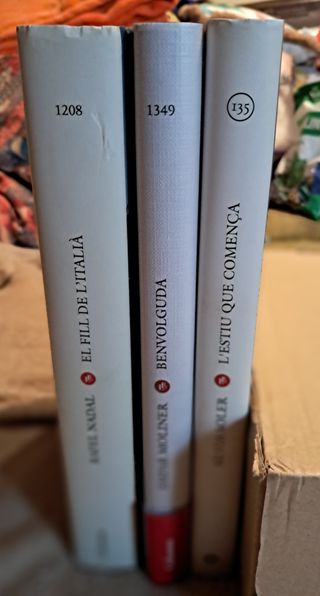 3 novel·les Premi Ramon Llull (Lot)