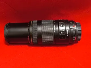 Canon EF 70-300mm f/4-5.6 IS USM
