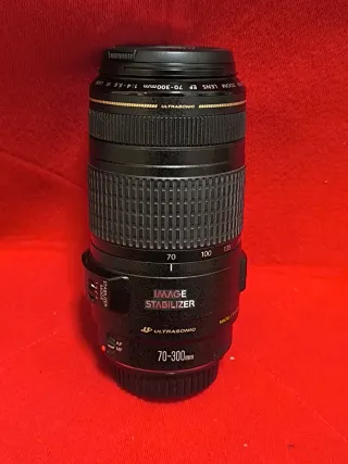 Canon EF 70-300mm f/4-5.6 IS USM