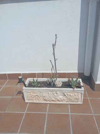 Jardinera de piedra con relieve