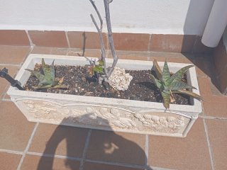 Jardinera de piedra con relieve