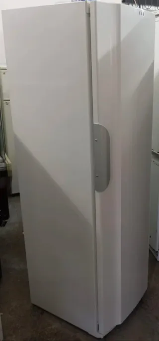 Congelador Vertical Grande por 300€!