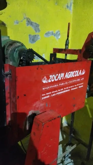 Se vende Línea desgranado y pelado de ajos