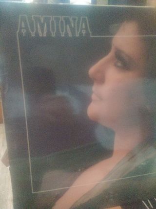 Vinilos lote amina precio por los 4 lps
