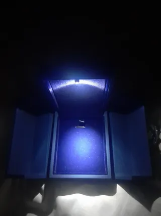 Caja de joyería Cara de lujo