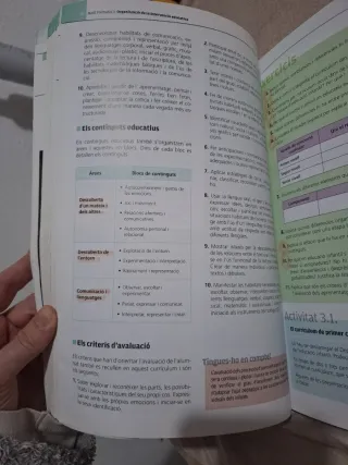 Didàctica de l'educació infantil
