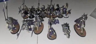 5 Barrow knight  27 circa deathrattle  1 Wightking