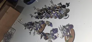 5 Barrow knight  27 circa deathrattle  1 Wightking