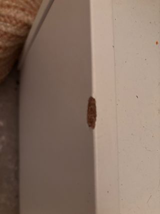 Librería infantil blanca con almacenaje.