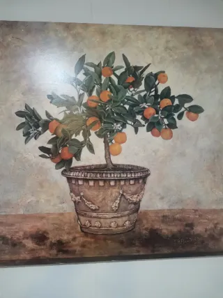 Cuadro bodegón naranjo