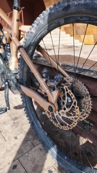 Orbea Wild H10 XT