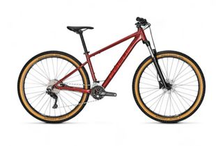 FOCUS Whistler 3.7 MTB