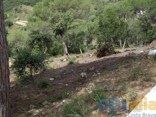 Solar en venta en Mas Pere-Río de Oro en Calonge