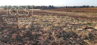 Terreno en venta en Almonte en Almonte