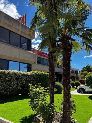 Oficina en alquiler en Marazuela - El Torreón en Rozas de Madrid (Las)
