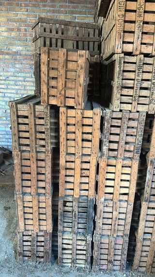 Cajas de madera J. DOMINGO V antiguas