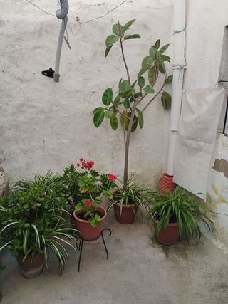 Chalet en venta en Jerez de los Caballeros