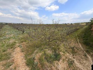Solar en venta en Albaida