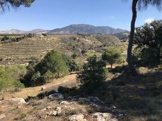 Terreno en venta en Zubia (La)