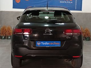 CITROËN C4 Cactus BlueHDi 100 SS Feel