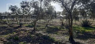 Terreno en venta en Almonte en Almonte