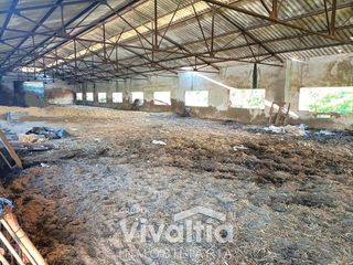 Solar en venta en Bonares