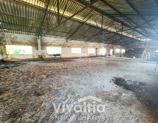 Solar en venta en Bonares